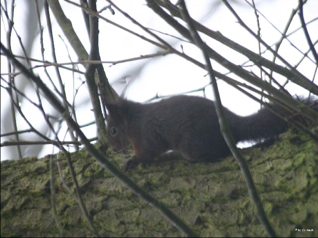 ich lauf ma hier okay